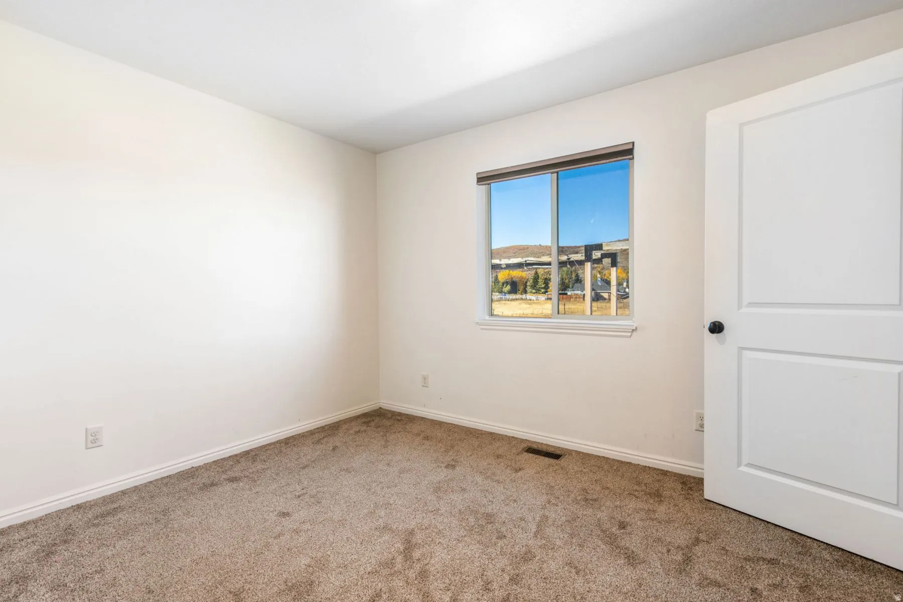 Spacious room featuring neutral carpeting, a large window, white trim, and a contemporary panel door
