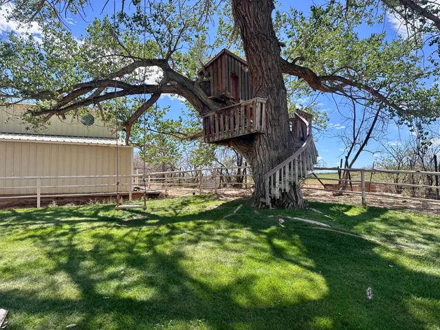 Expansive green lawn with a mature shade tree, featuring a built-in treehouse with a spiral staircase and an integrated swing