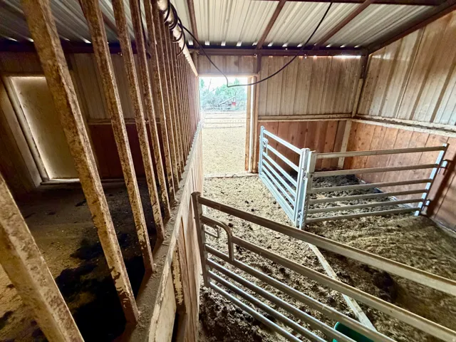 Barn interior featuring a metal roof, wood-paneled walls, and metal fencing