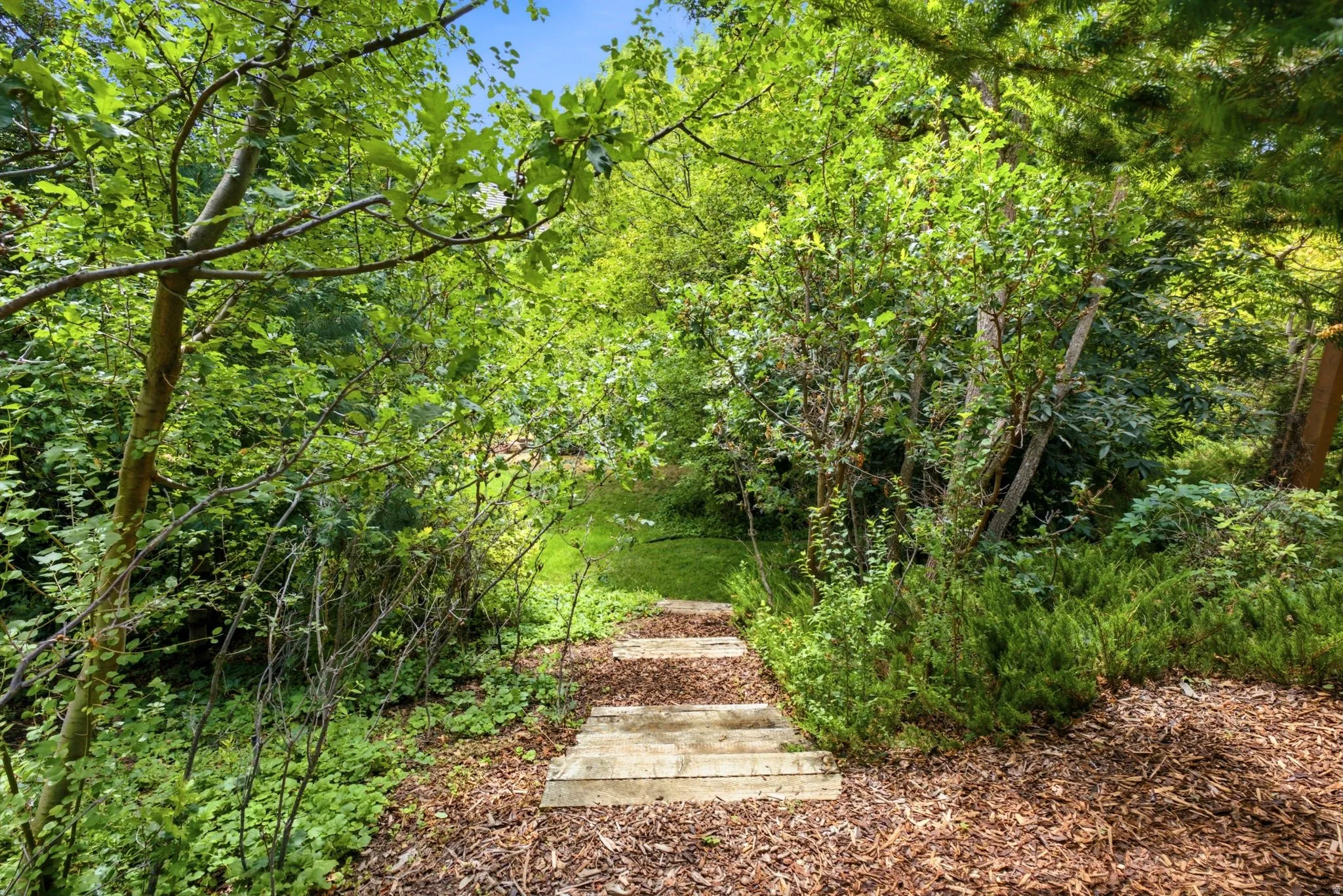 Landscaped pathway with natural wood steps, surrounded by mature trees, varied shrubs, and groundcover