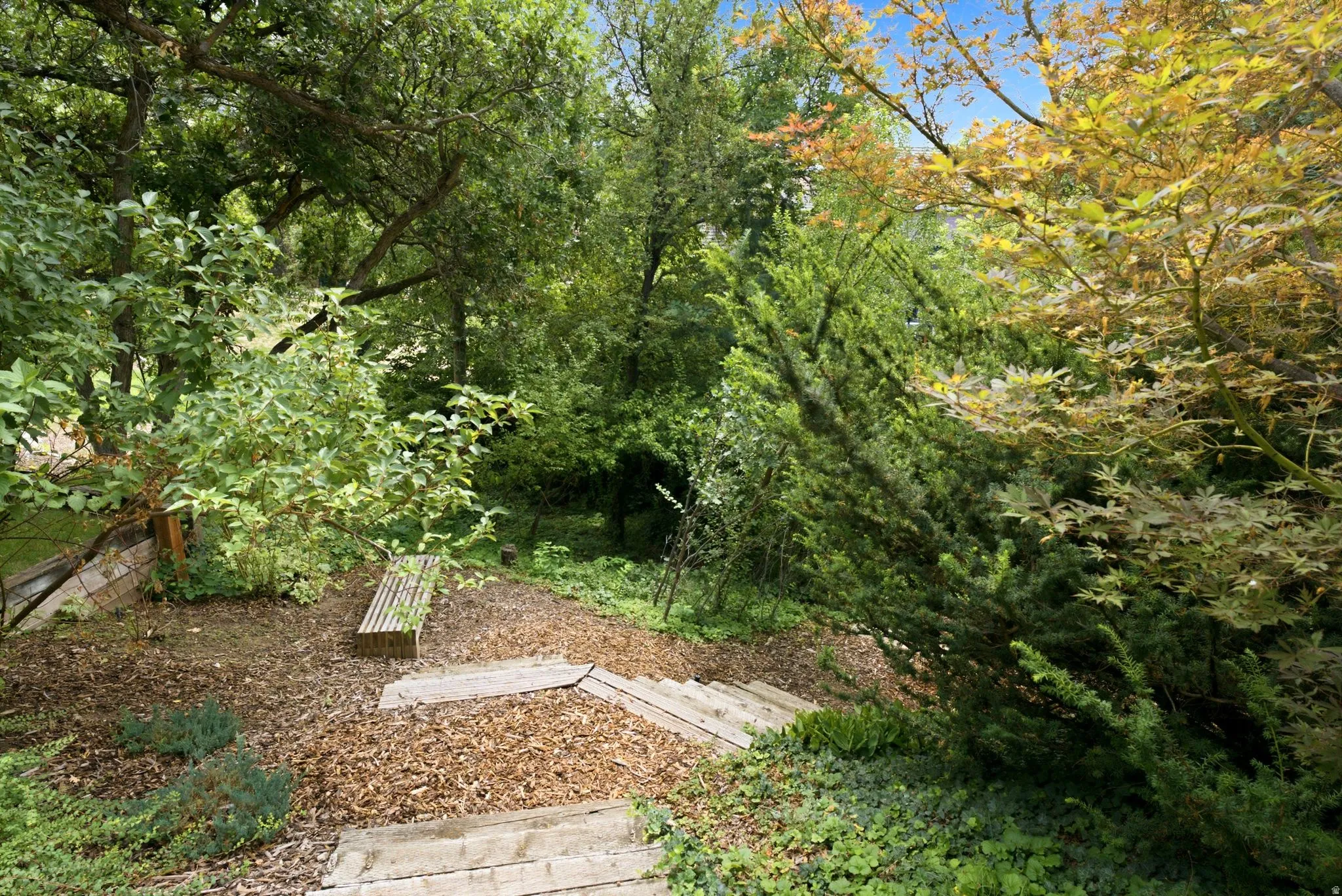 Terraced garden area featuring natural wood steps descending through varied foliage