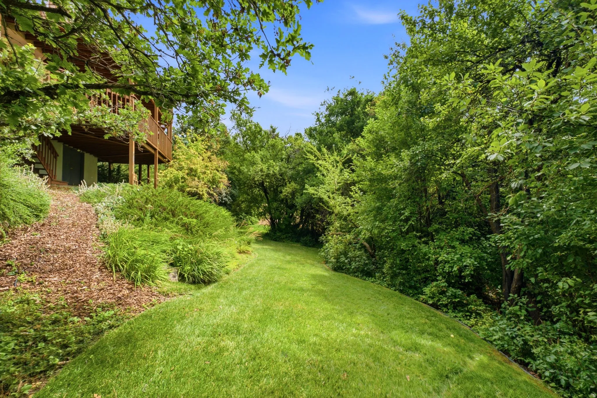 Expansive green lawn bordering a wooded area