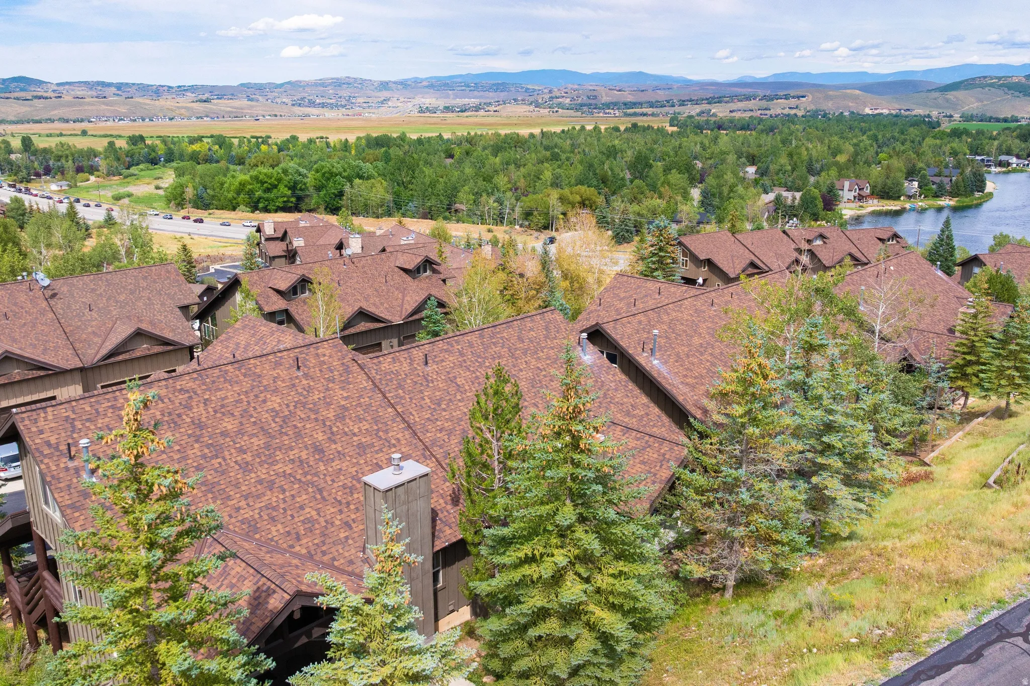 Aerial perspective showcasing multiple properties with brown shingle roofing and dormer windows, surrounded by mature evergreen trees