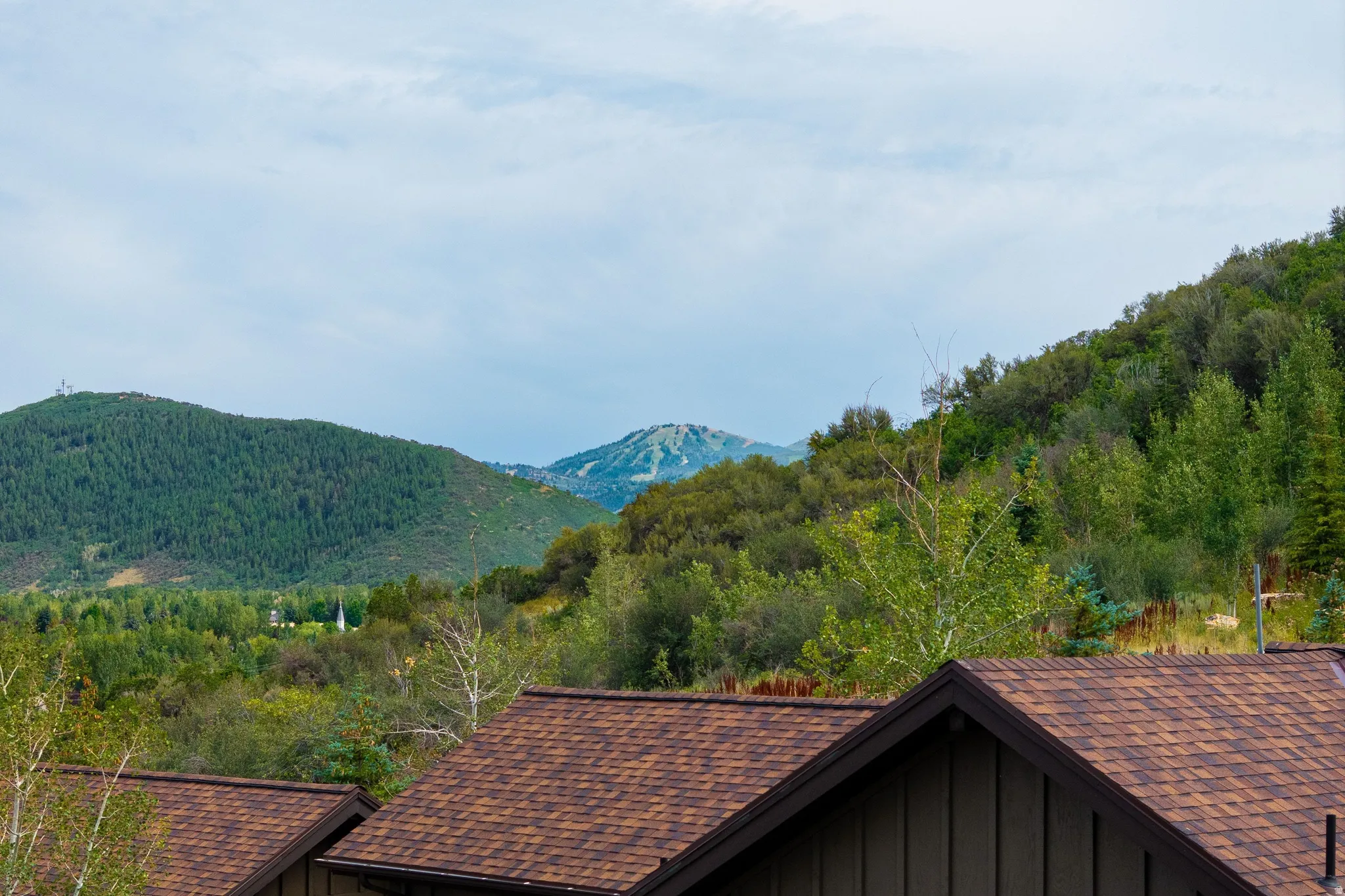 Mountain scenery featuring forested slopes and distant peaks