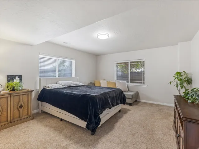 Bedroom #3 featuring two windows with horizontal blinds, a ceiling-mounted light fixture, and neutral wall tones