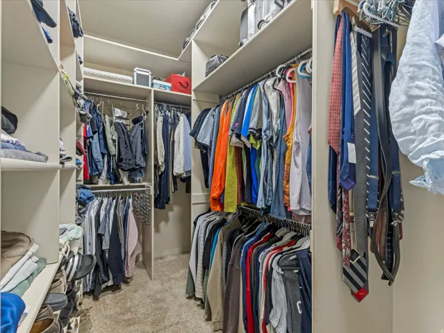 Primary bedroom walk in closet featuring multiple hanging rods, integrated shelving, and carpet flooring