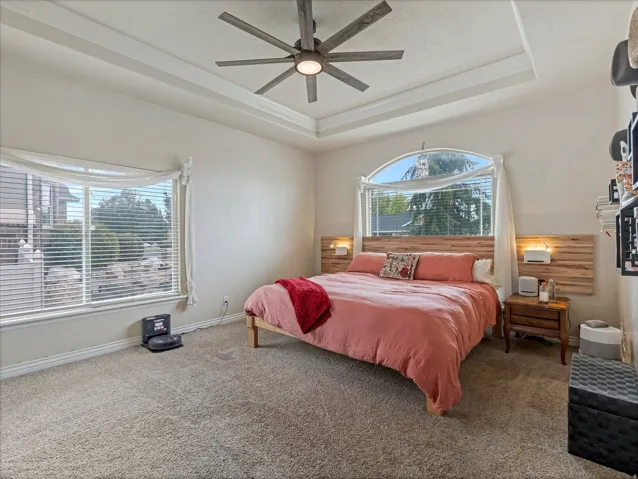 Primary Bedroom featuring a tray ceiling with a ceiling fan, plush carpet flooring, and multiple windows including an arched window