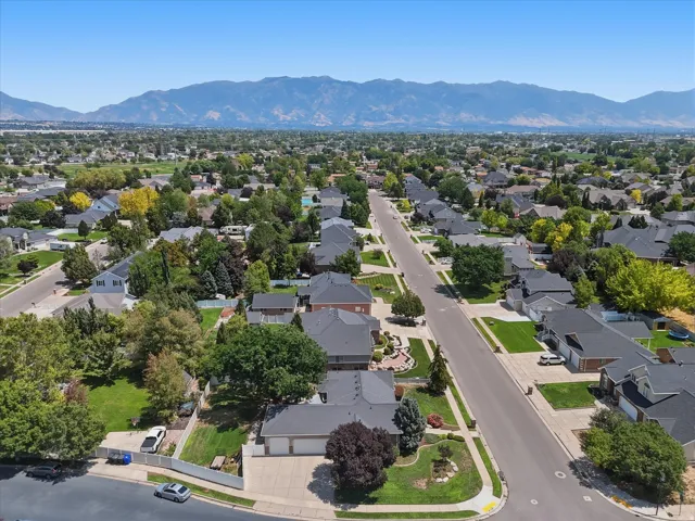 Expansive suburban neighborhood with tree-lined streets and established homes
