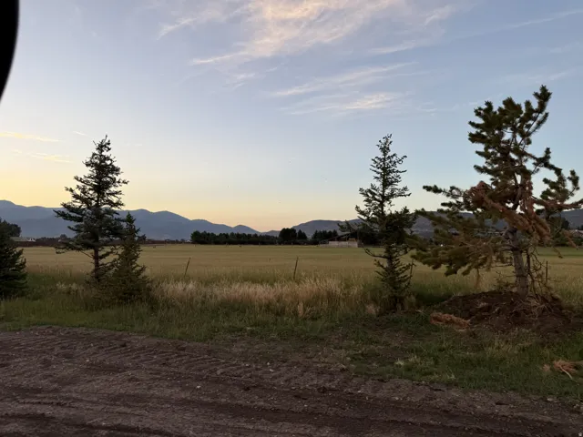 Expansive open field bordered by mature evergreen trees