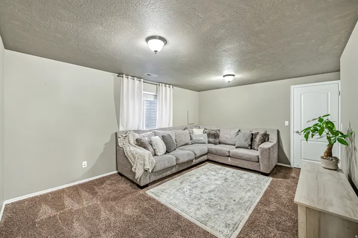 Spacious room featuring textured gray walls and brown carpeting