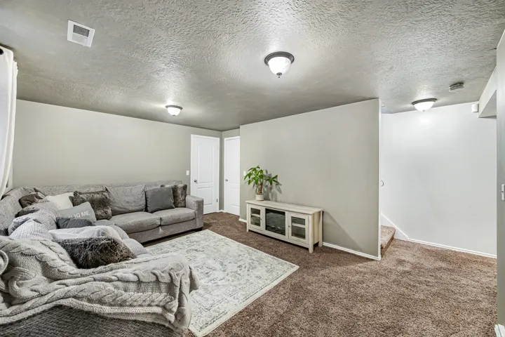 Carpeted entertainment area featuring neutral-toned walls, white trim, and two white paneled doors