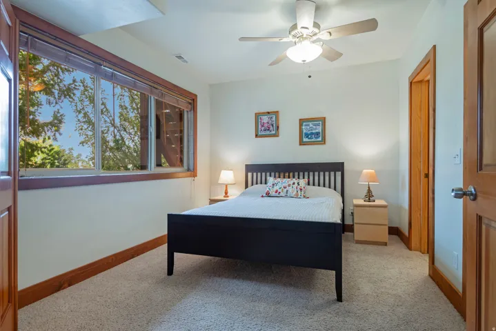 Light-filled room featuring a broad window with wood-finish trim, neutral wall paint, and a textured carpet