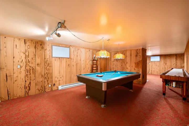Recreation room featuring wood-paneled walls and red carpeting