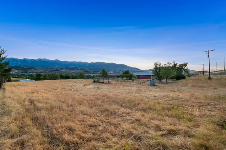 Expansive open field with distant mountain range backdrop