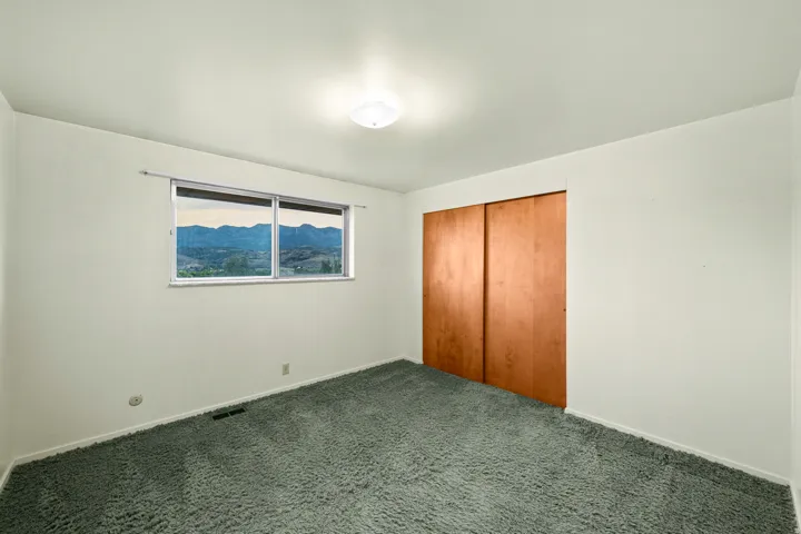 Interior room featuring a large window with distant mountain scenery, plush green carpeting, neutral wall finishes, a ceiling-mounted light fixture, and a spacious closet with wood panel doors