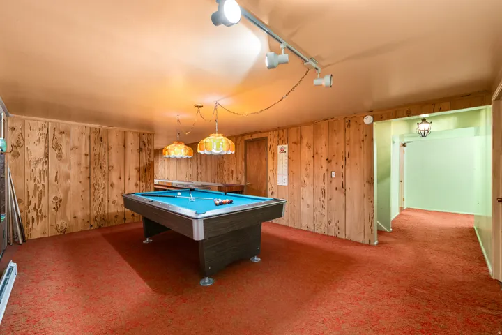 Recreation room featuring wood paneling, orange carpeting, and track lighting