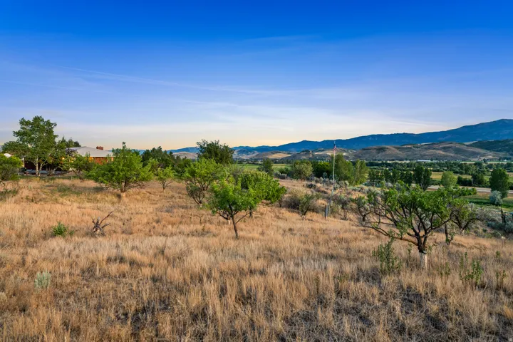 Expansive property featuring a sloped, natural landscape with mature trees and native grasses