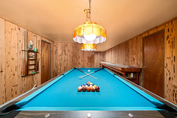 Recreation room featuring knotty pine paneling and a ceiling-mounted light fixture