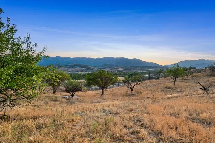 Expansive, undeveloped hillside lot featuring a distant mountain range and scattered mature trees