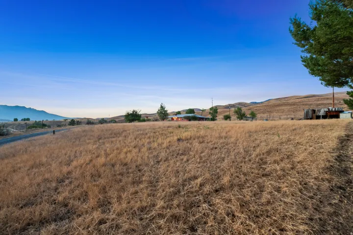 Expansive open field featuring natural golden grasses