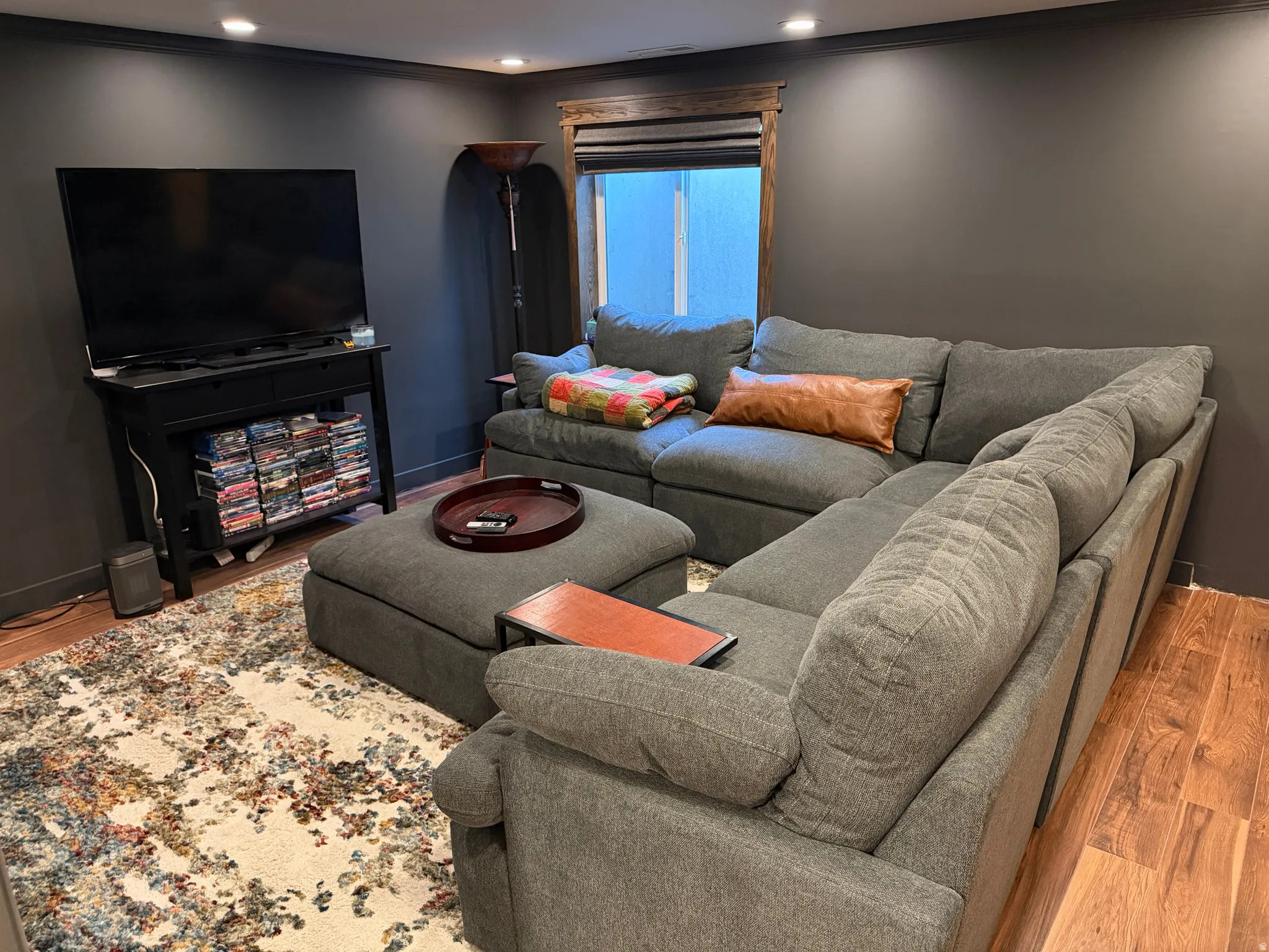 Basement Living Room