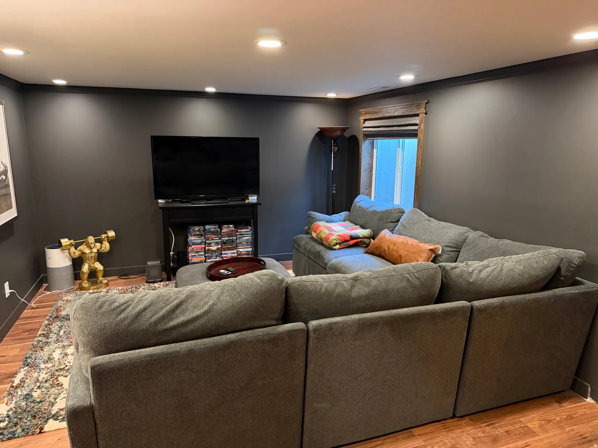 Basement Living Room