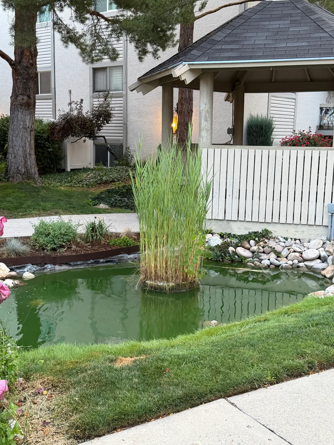 Common area water feature