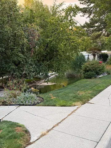Common area pond