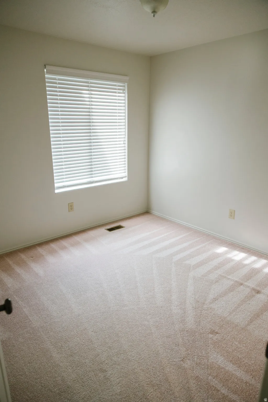 Neutral-toned walls complement the light-colored carpeting