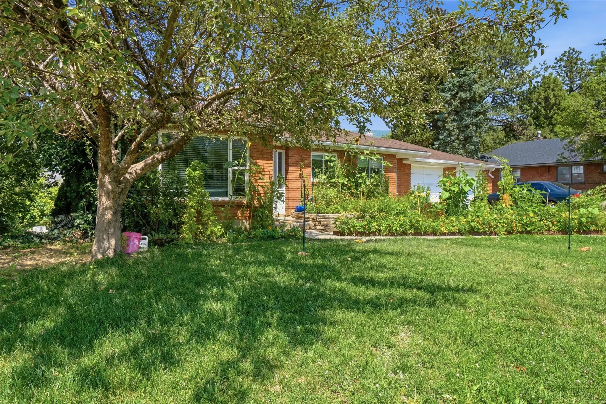 Brick-clad exterior with a prominent front lawn, mature shade tree, and established landscaping