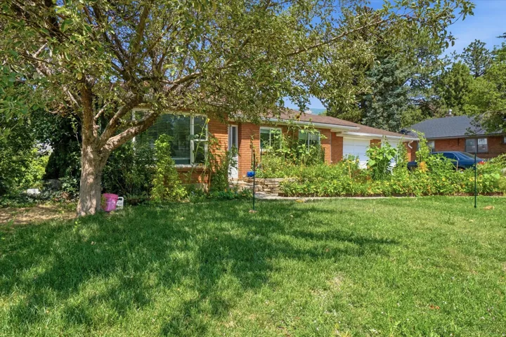 Brick-clad exterior with a prominent front lawn, mature shade tree, and established landscaping