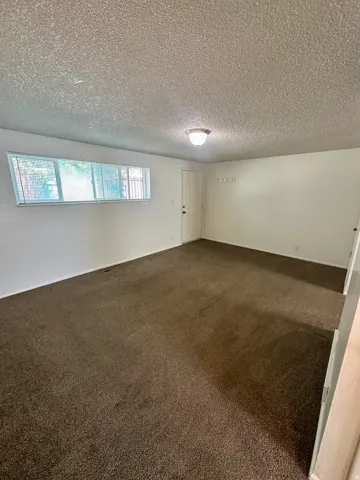 Spacious room featuring broadloom carpet, white painted walls, a horizontal window with blinds, and a flush-mount ceiling light fixture