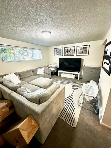 Spacious room featuring a large window with blinds, overhead flush mount lighting, and carpet flooring
