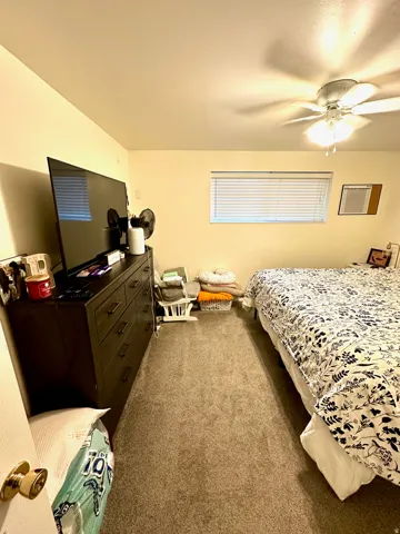 Carpeted room featuring a ceiling fan with integrated lighting, a window with horizontal blinds, and neutral wall tones
