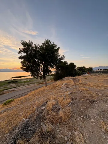 Expansive undeveloped land featuring a cleared building site, mature trees, and a paved road bordering a large body of water
