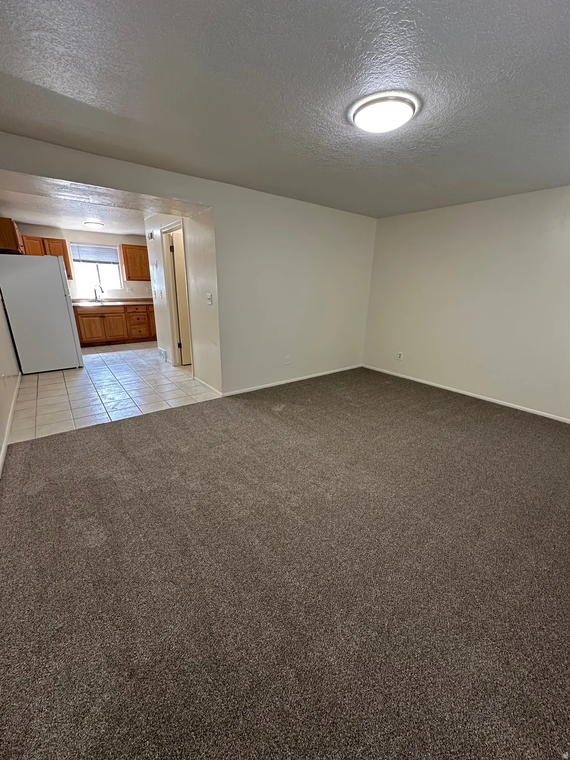 Spacious carpeted living area featuring neutral wall tones and a ceiling-mounted light fixture