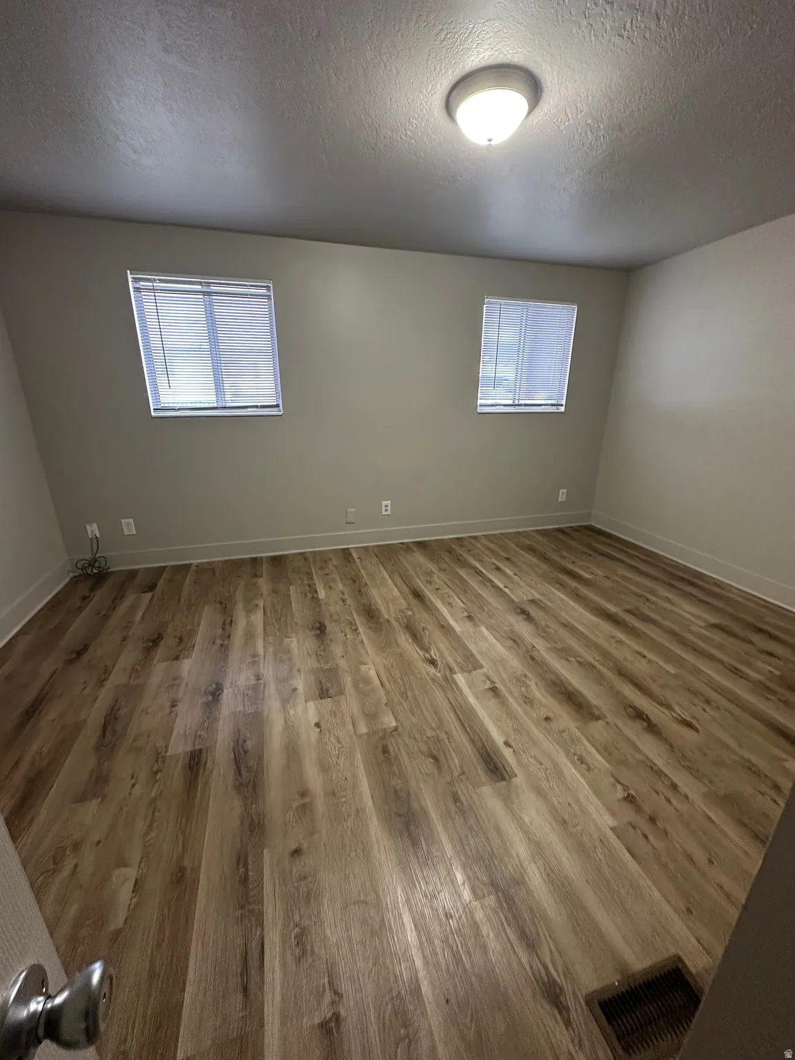 Spacious room featuring wood-finish flooring, two windows with blinds, light-toned walls, and a ceiling-mounted light fixture