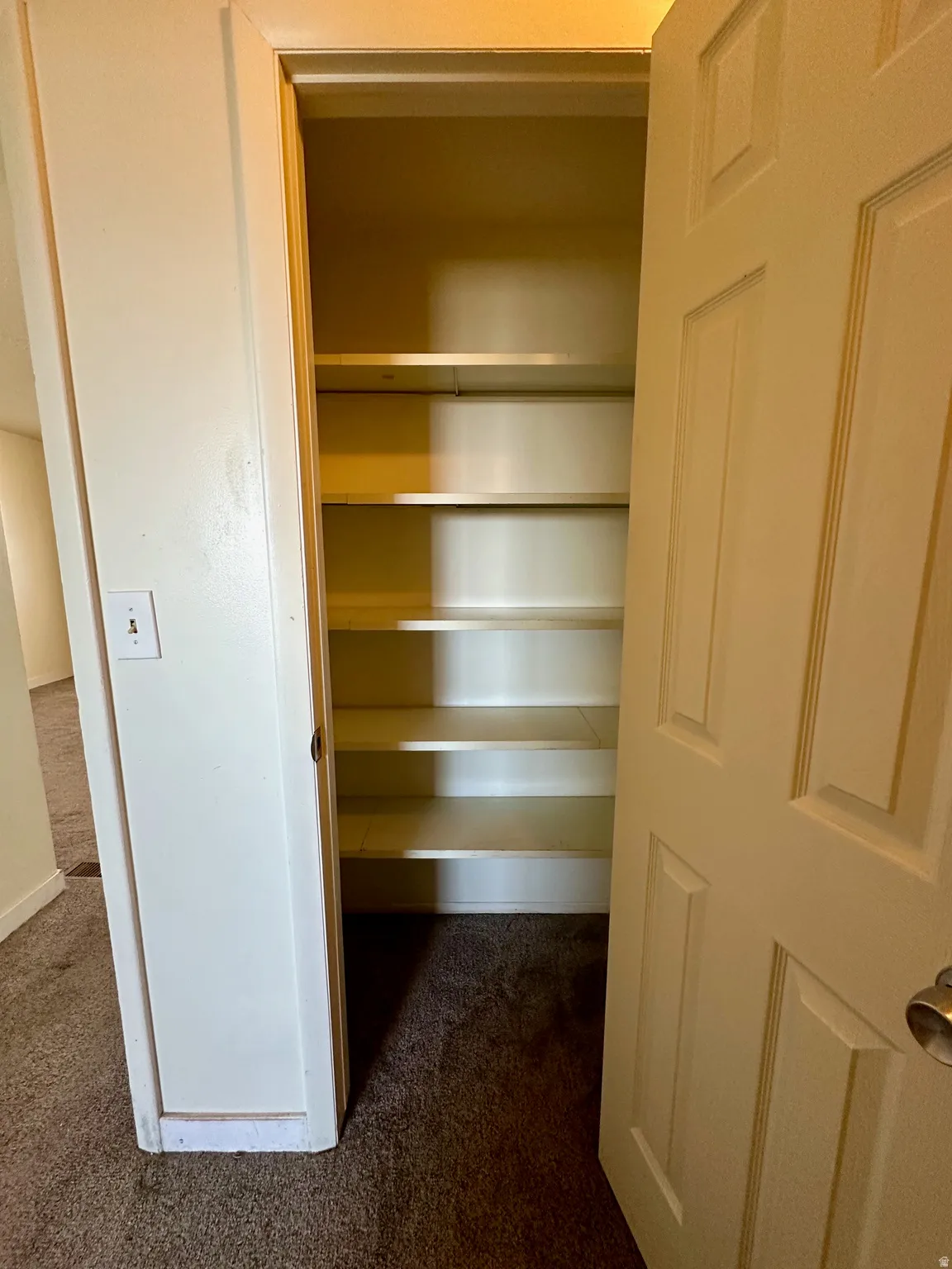 Built-in shelving unit providing ample storage, white interior walls, and dark brown carpeting