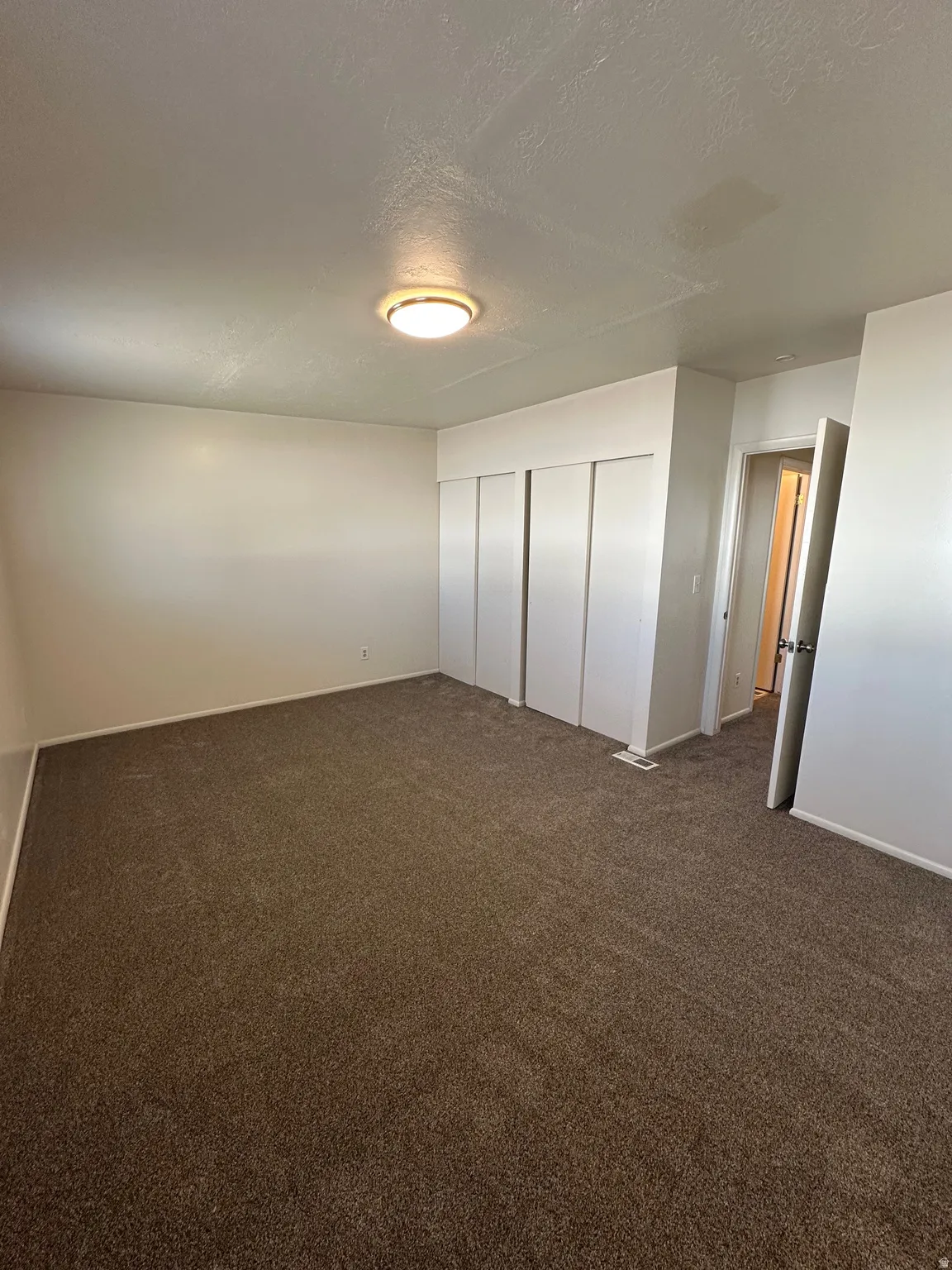 Plush brown carpeting throughout, illuminated by a ceiling-mounted light fixture