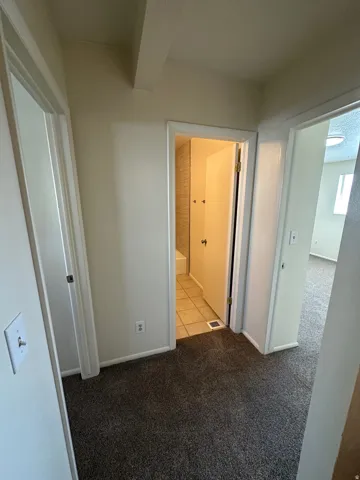 Plush grey carpeting extending throughout, with a light-colored wall finish and white trim