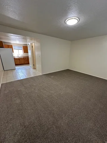 Spacious carpeted living area featuring neutral wall tones and a ceiling-mounted light fixture