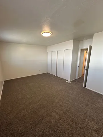 Plush brown carpeting throughout, illuminated by a ceiling-mounted light fixture