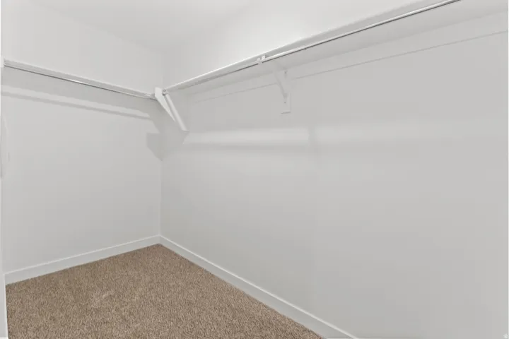 Walk-in closet featuring white walls, white trim, and light brown carpeting