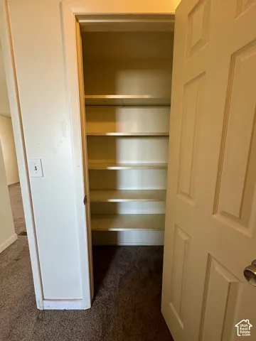 Built-in shelving unit providing ample storage, white interior walls, and dark brown carpeting