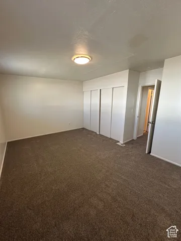 Plush brown carpeting throughout, illuminated by a ceiling-mounted light fixture