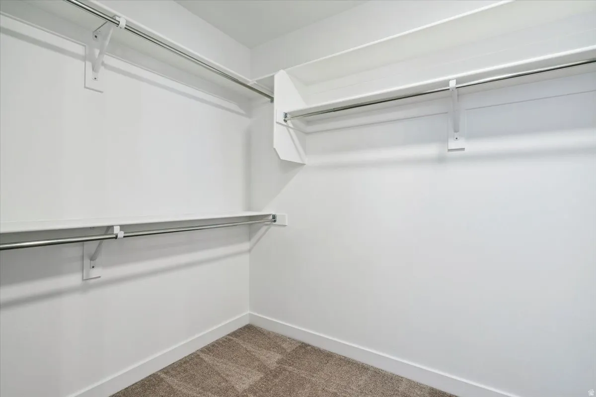Walk-in closet featuring white shelving, chrome hanging rods, and carpet flooring