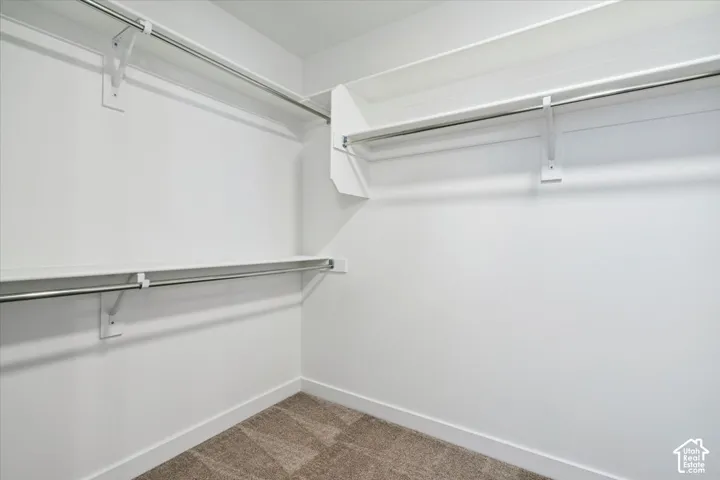 Walk-in closet featuring white shelving, chrome hanging rods, and carpet flooring