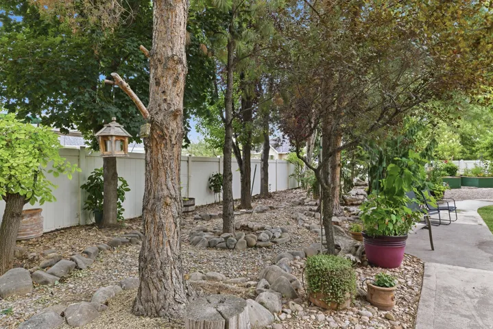 Landscaped yard featuring mature trees, a white perimeter fence, and a concrete pathway