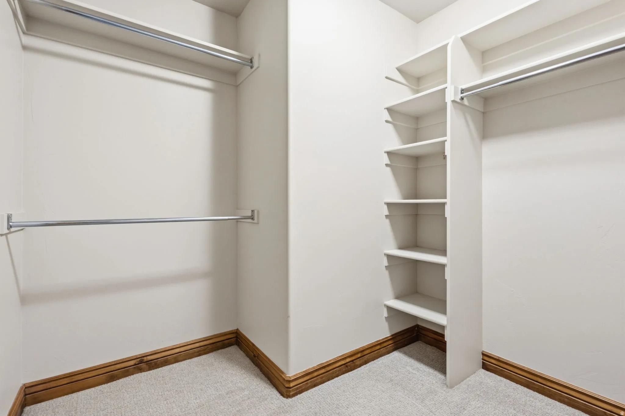 Carpeted walk-in closet featuring white walls, wood baseboards, multiple hanging rods, and built-in shelving