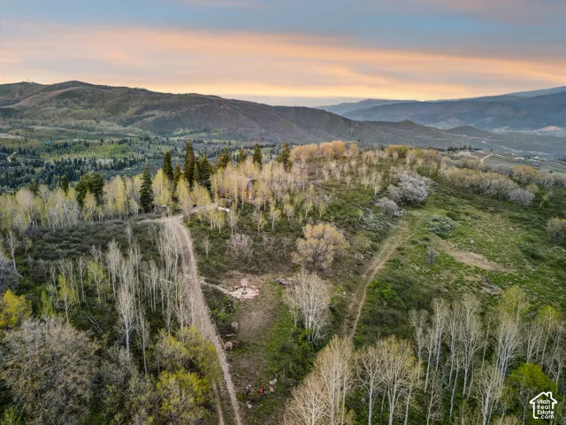 Aerial Overview - Overhead view showing the cabin, fire pit area, and drive approach on the wooded parcel.